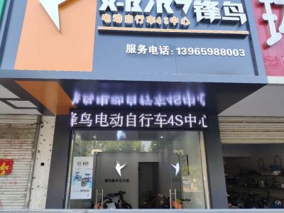 P10 - 峰鸟电动车P10全户外白
