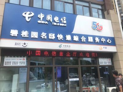 P10 - 碧桂园名邸电信营业厅P10全户外红